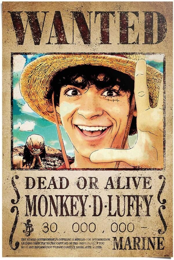 Reinders! Poster One Piece wanted monkey d. Luffy