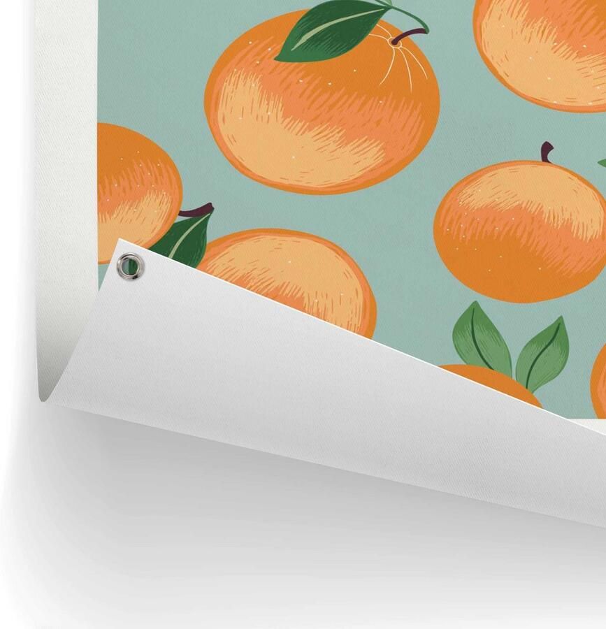 Reinders! Poster Orangen Outdoor voor tuin of balkon - Foto 2