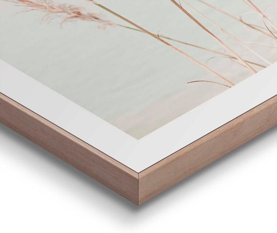 Leen Bakker Poster met lijst Pampas Helmgras 40x30 cm - Foto 3