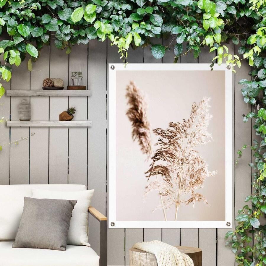 Reinders! Poster Pampasgras Outdoor voor tuin of balkon - Foto 2