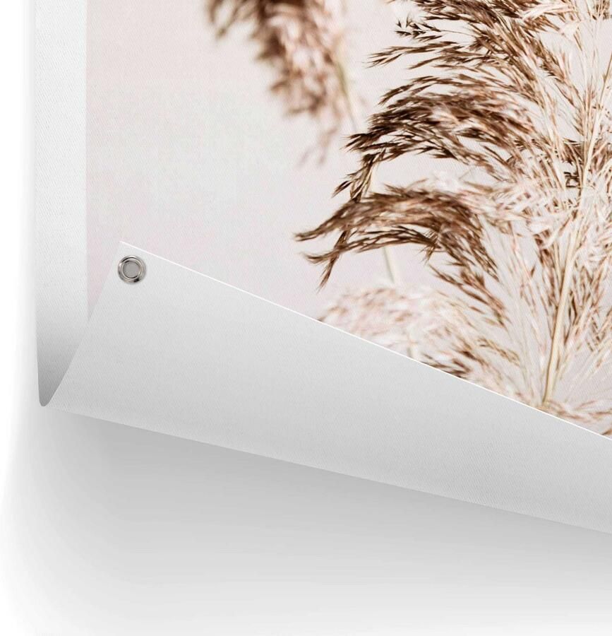 Reinders! Poster Pampasgras Outdoor voor tuin of balkon - Foto 2