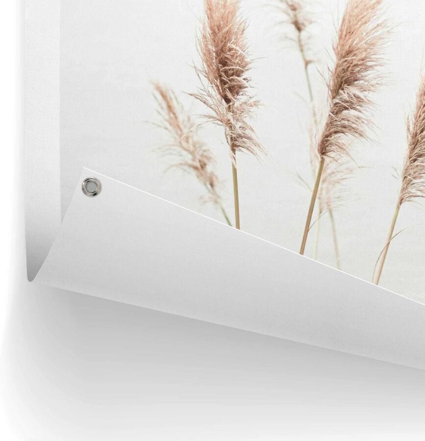 Reinders! Poster Pampasgras Outdoor voor tuin of balkon - Foto 2