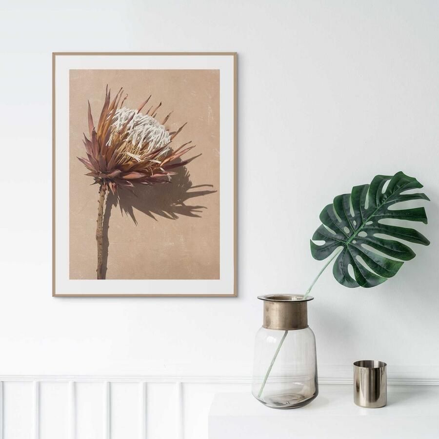 Reinders! Poster Protea bloem - Foto 2