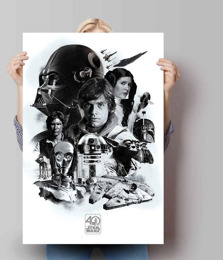 Reinders! Poster Star Wars 40 jaar - Foto 2