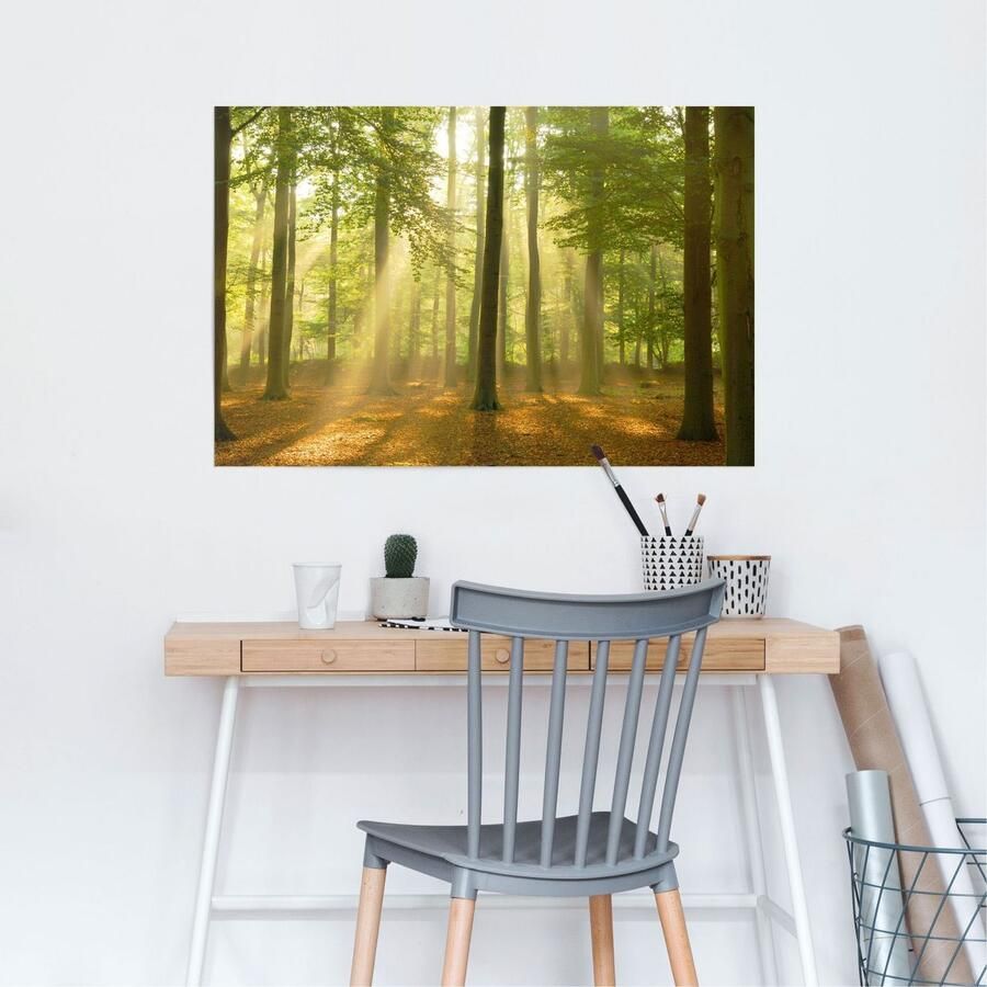 Reinders! Poster Verlicht bos - Foto 2