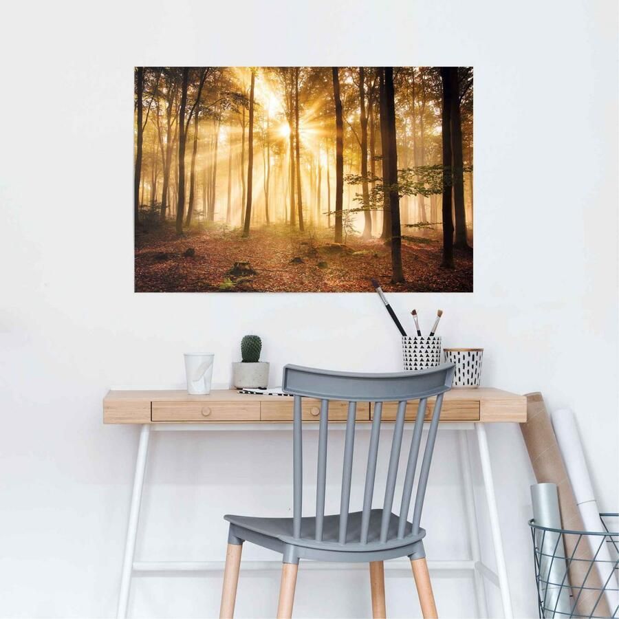 Reinders! Poster Verlicht bos - Foto 2