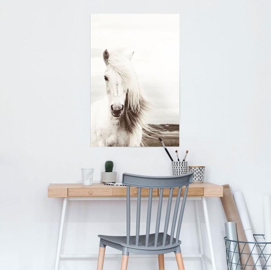 Reinders! Poster wit paard - Foto 2