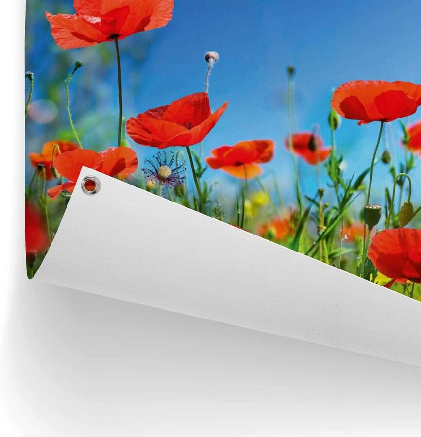 Reinders! Poster Zomerbloemen Outdoor voor tuin of balkon - Foto 2