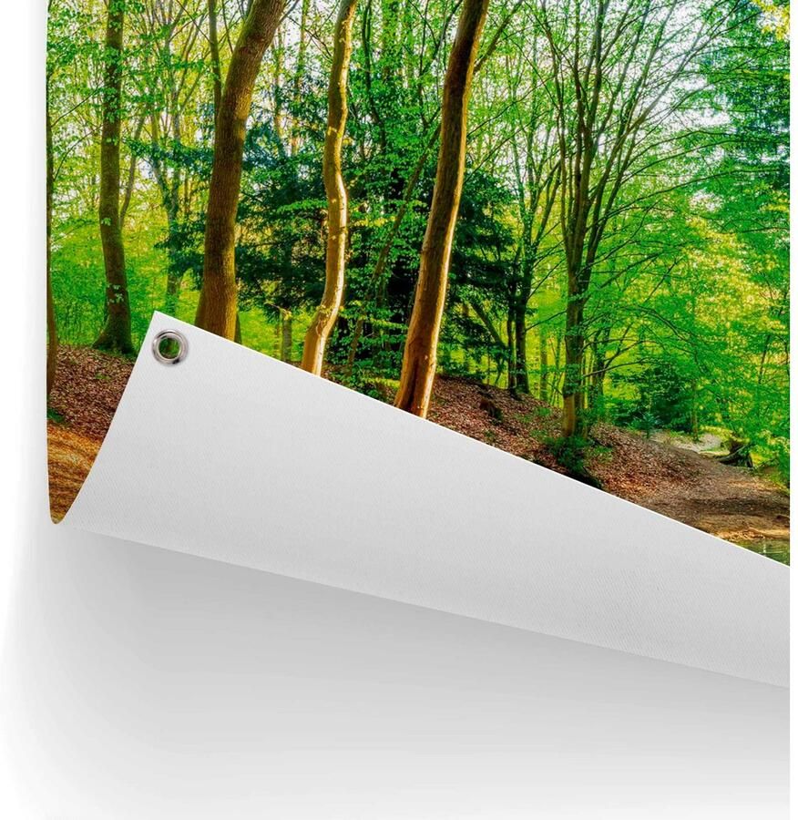 Reinders! Poster Zonnig bos - Foto 2