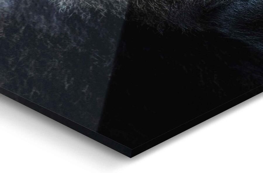 Reinders! Print op glas Artprint op glas gorilla aap krachtig peinzend - Foto 3