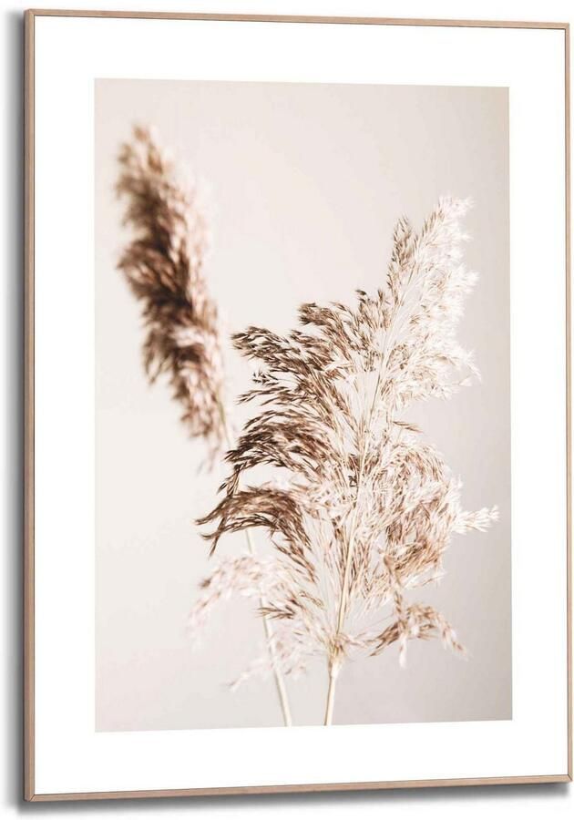 Reinders! Wanddecoratie Ingelijste afbeelding pampagras ecru plant - Foto 3