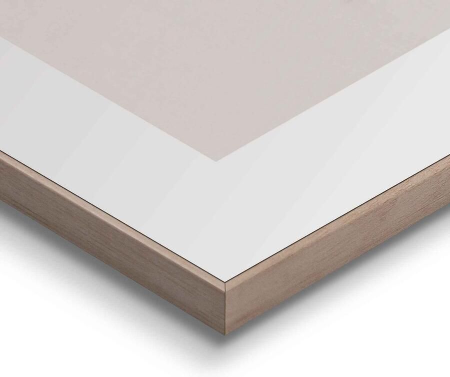 Reinders! Wanddecoratie Ingelijste afbeelding pampagras ecru plant - Foto 2