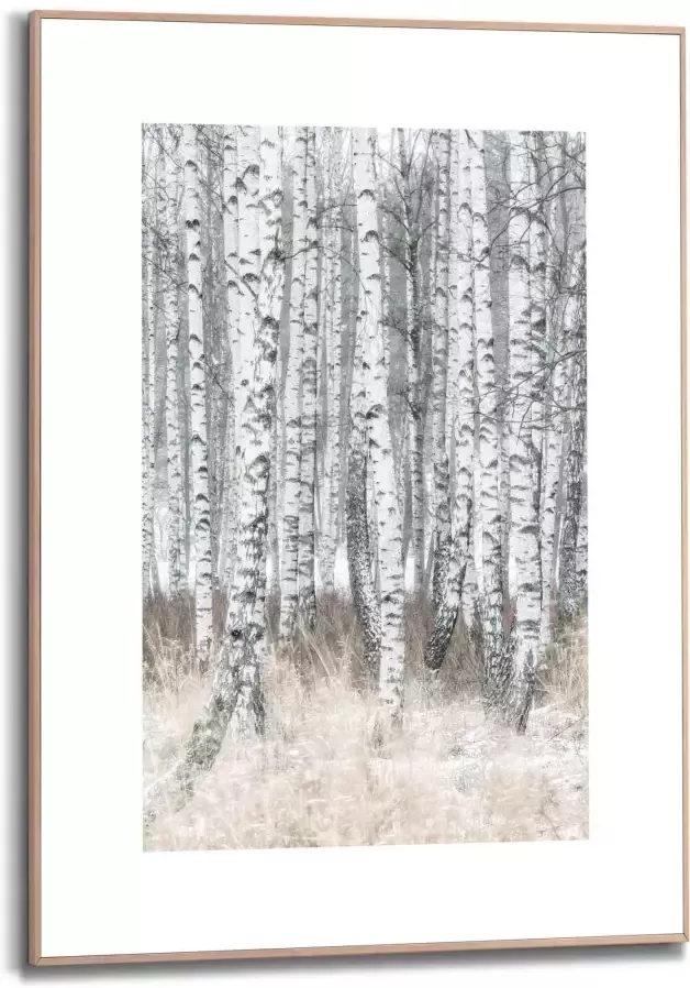 Reinders! Wanddecoratie Ingelijste afbeelding berken natuurmotief bomen fotografie - Foto 2