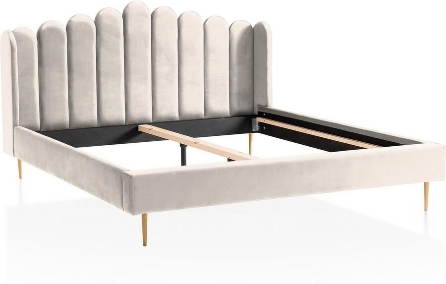 SalesFever Gestoffeerd bed Comfortabel bed voor een goede nachtrust Elegantie ontmoet comfort: fluwelen bekleding goudkleurige metalen poten - Foto 6