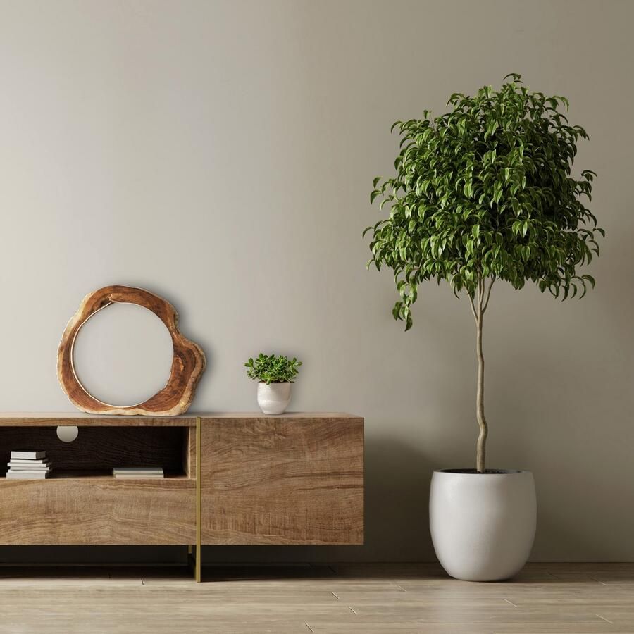 SalesFever Led-tafellamp Drijfhout met de hand gemaakt (1 stuk)