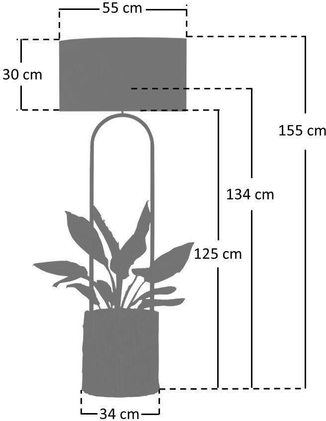 Artistiq Living Artistiq Vloerlamp Kenyanna Met plantenmand Drijfhout Bruin - Foto 5