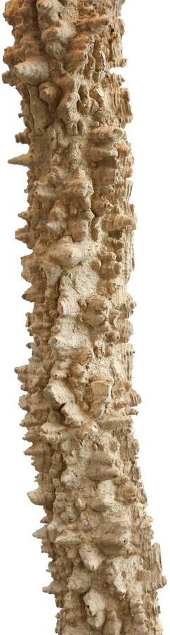 SalesFever Staande lamp Pandora handgemaakt met linnen kap (1 stuk) - Foto 8