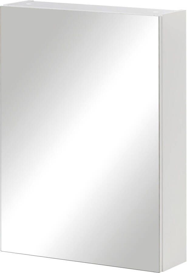 Schildmeyer Spiegelkast Basic Breedte 50 cm 1-deurs glasplateaus Made in Germany