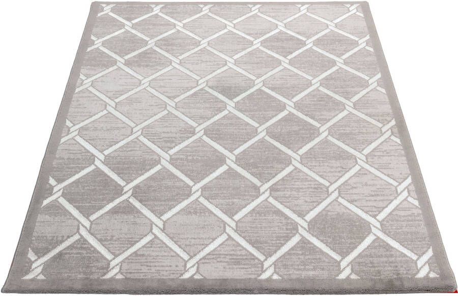 Salery Home Vloerkleed laagpolig vloerkleed antistatisch lichtdicht tpijt grijs 120x170 cm - Foto 9