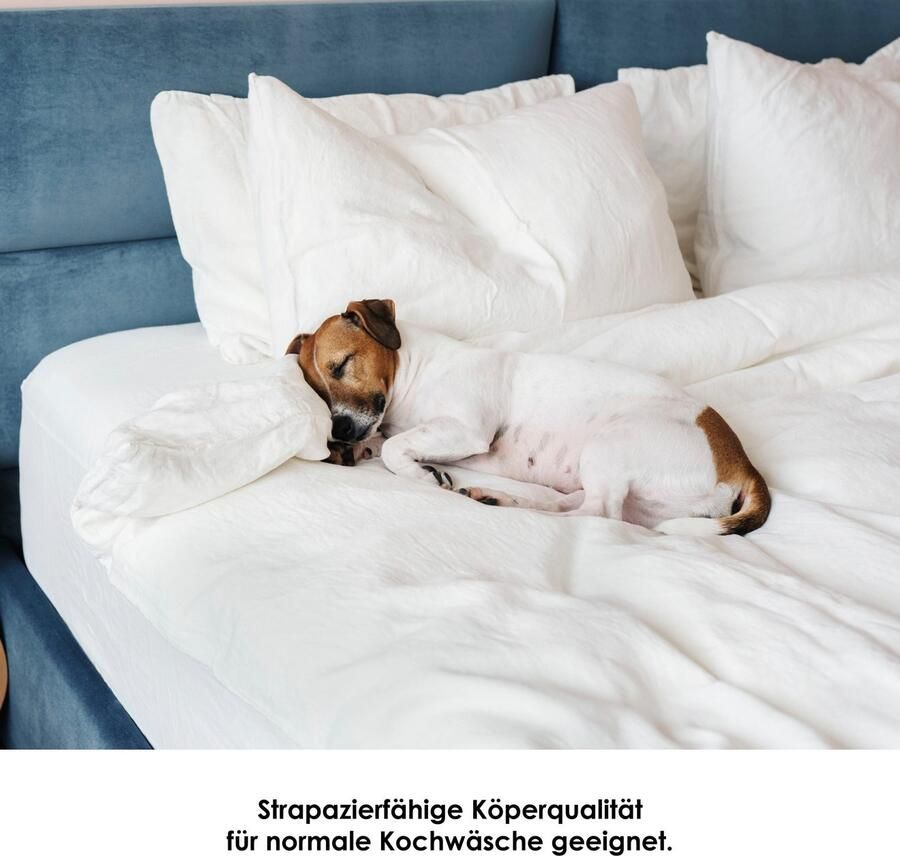SETEX MATRATZEN UND KISSEN Matrasdek Matrasbeschermer geschikt voor allergiepatiënten (huisstofmijtallergie) - Foto 8