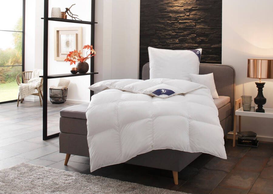 SPESSARTTRAUM Ganzendonzen dekbed + hoofdkussen Premium****** Besparingsset: 4 warmteklassen 135x200 cm & 155x220 cm (voordeelset) - Foto 8