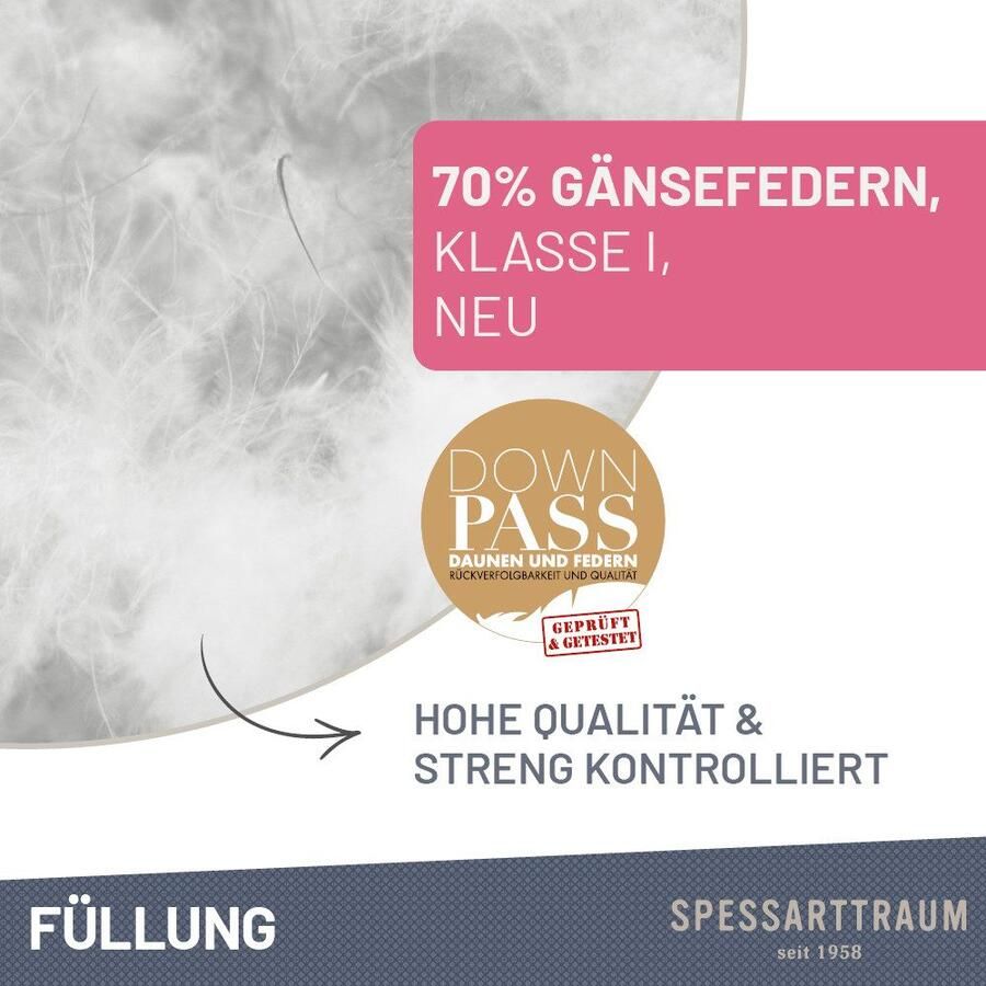SPESSARTTRAUM Kussen met ganzendons Premium hoofdkussen 1-dlg. of 2-dlg. 40x80 of 80x80 cm gemaakt in duitsland allergievriendelijk set goedkoper (voordeelset) - Foto 3