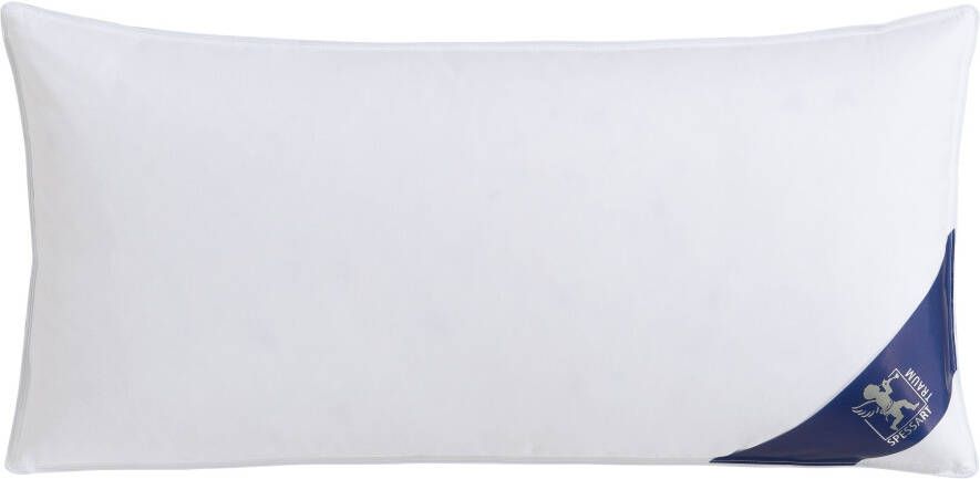 SPESSARTTRAUM Kussen met ganzendons Premium hoofdkussen 1-dlg. of 2-dlg. 40x80 of 80x80 cm gemaakt in duitsland allergievriendelijk set goedkoper (voordeelset)