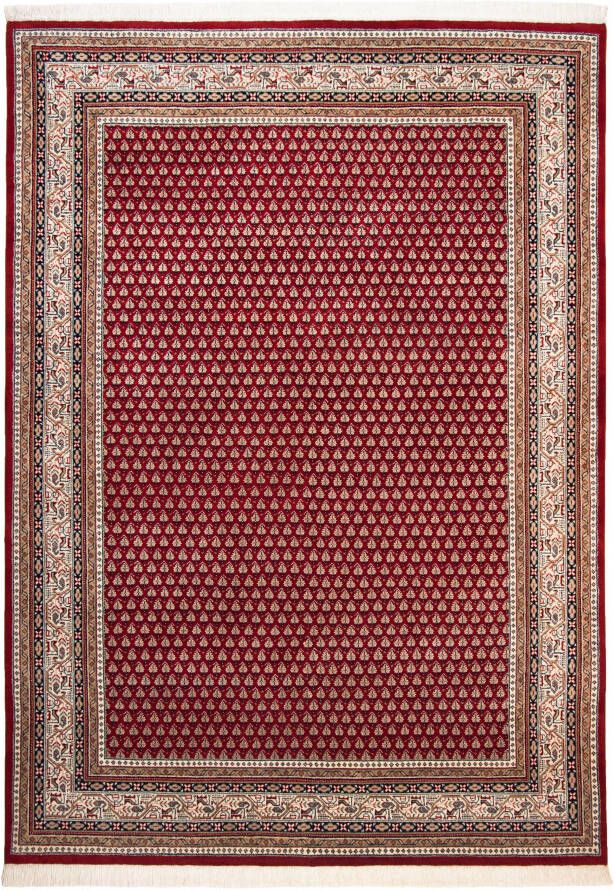 THEKO Oosters tapijt Abbas Meraj Mir zuivere wol met de hand geknoopt met franje