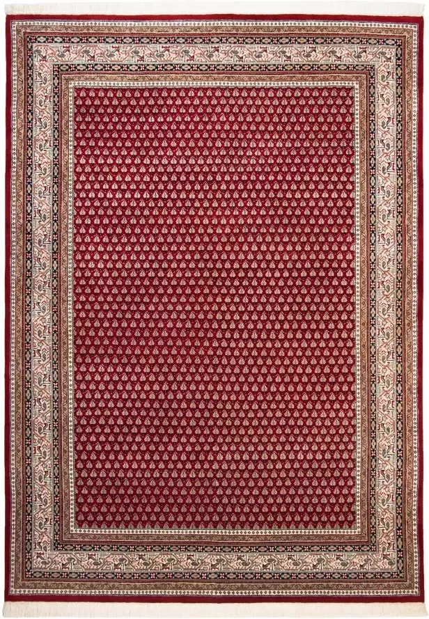 THEKO Oosters tapijt Abbas Meraj Mir zuivere wol met de hand geknoopt met franje woonkamer