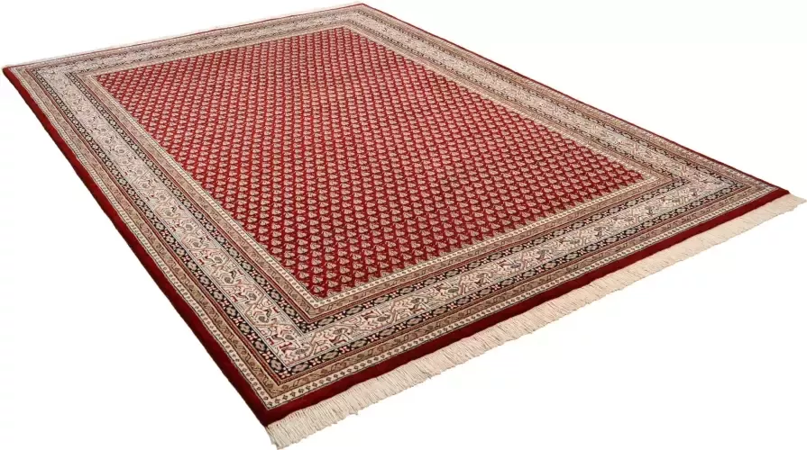 THEKO Oosters tapijt Abbas Meraj Mir zuivere wol met de hand geknoopt met franje woonkamer - Foto 7