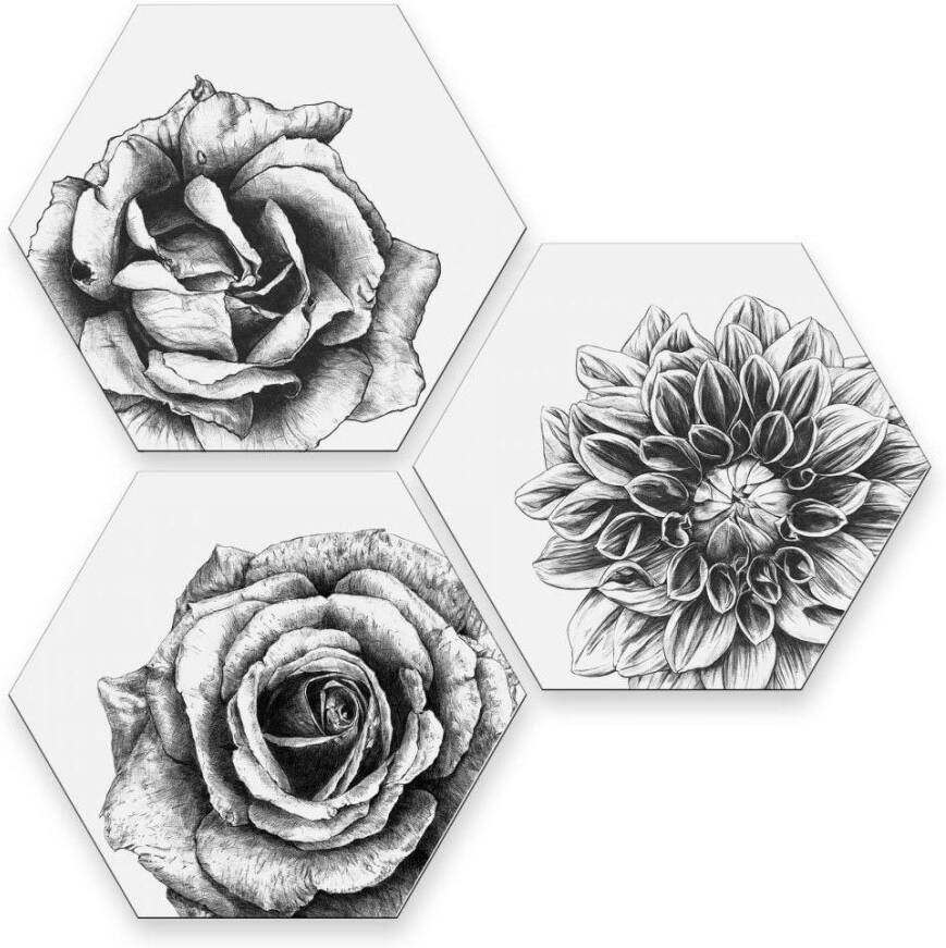 Wall-Art Meerdelige artprint Bloemen collage fleurige decoratie (set 3-delig) - Foto 1