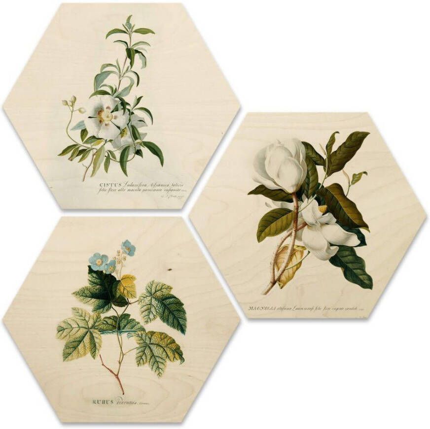 Wall-Art Meerdelige artprint Botanische collage bloemen fleurig (set 3-delig) - Foto 1