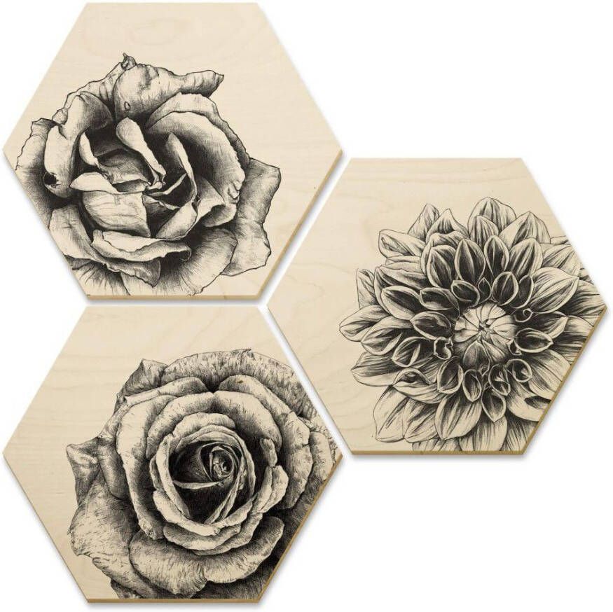 Wall-Art Meerdelige artprint Hexagon artprints op hout bloemen set (set 3-delig)