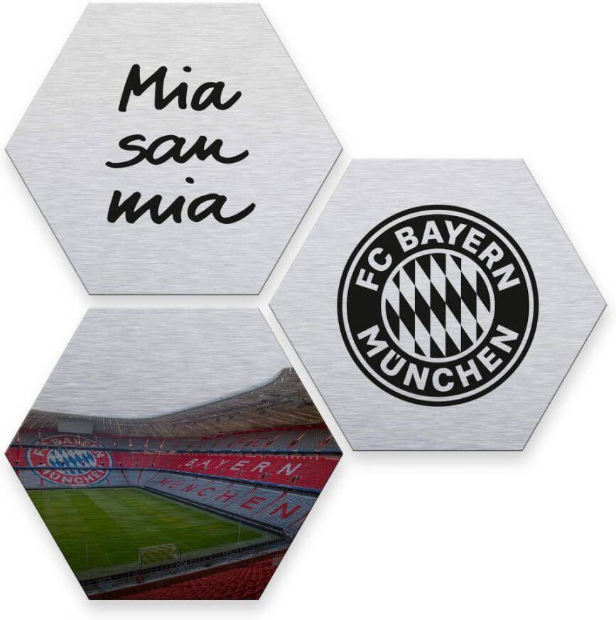 Wall-Art Meerdelige artprint Zilver FC Bayern München (set 3-delig) - Foto 1