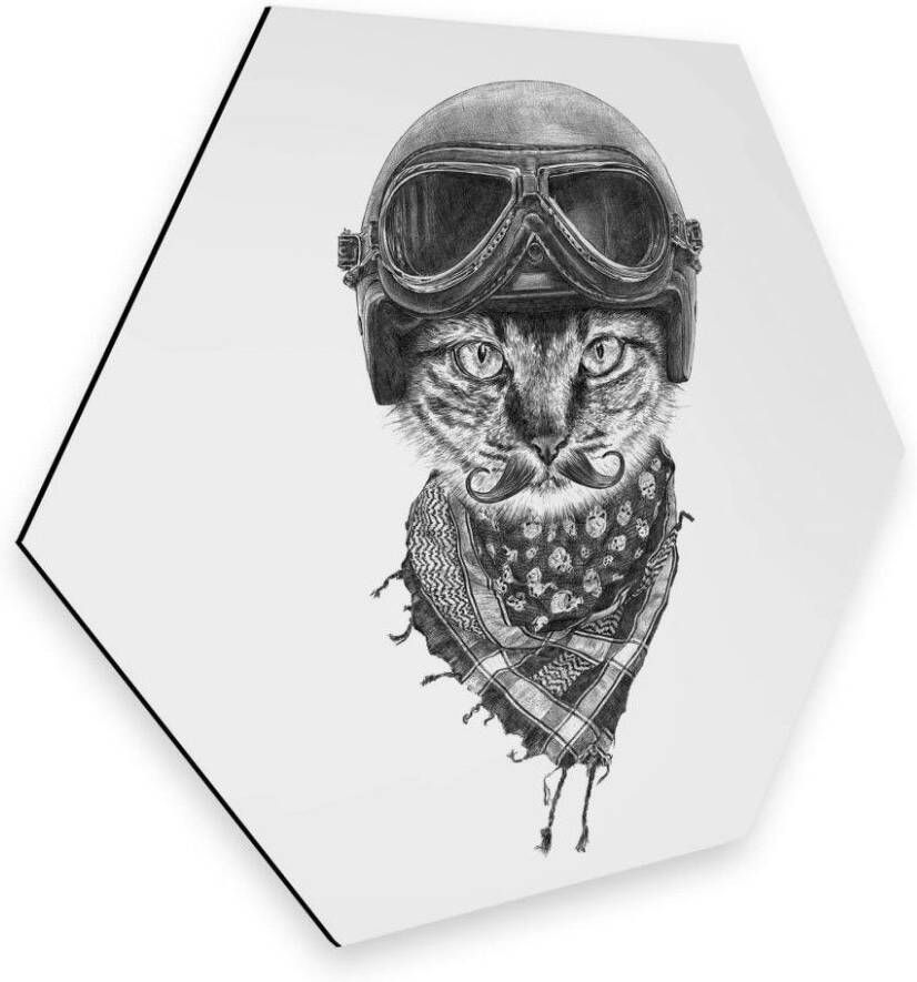 Wall-Art Metalen artprint Biker kat wanddecoratie kattenartprint (1 stuk) - Foto 2