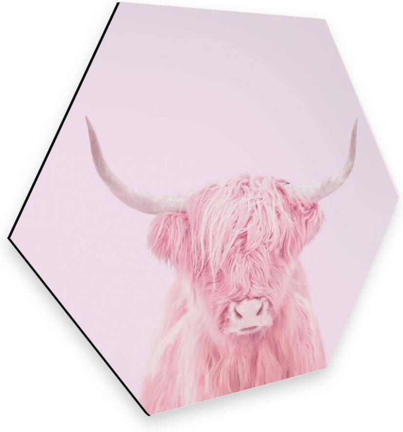 Wall-Art Metalen artprint Hoogland rund roze deurbord (1 stuk) - Foto 4