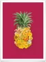 Wall-Art Poster Ananas bloem pink (1 stuk) - Thumbnail 1