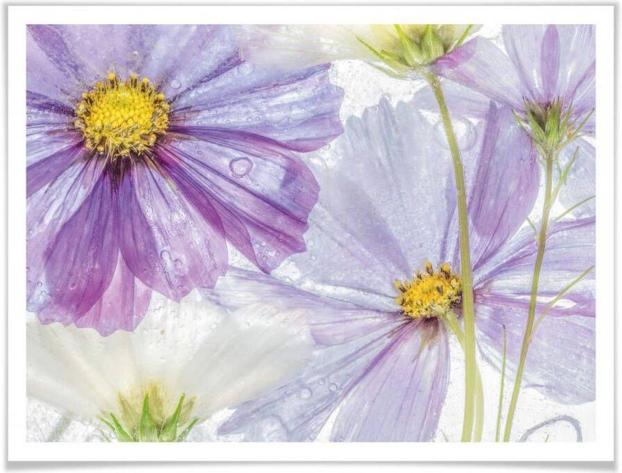 Wall-Art Poster Gebloemde paars blauw bloemen kunst (1 stuk) - Foto 4