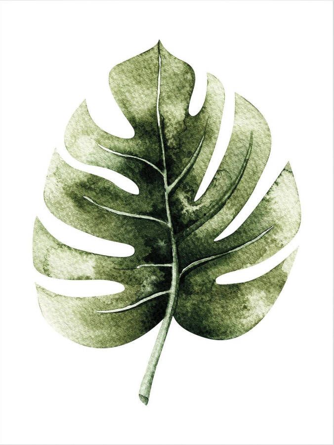 Wall-Art Poster Kvilis gatenplant Leaf - Foto 3