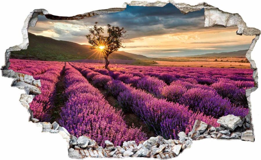 Wall-Art Wandfolie Lavendel In de Provence zelfklevend verwijderbaar - Foto 3