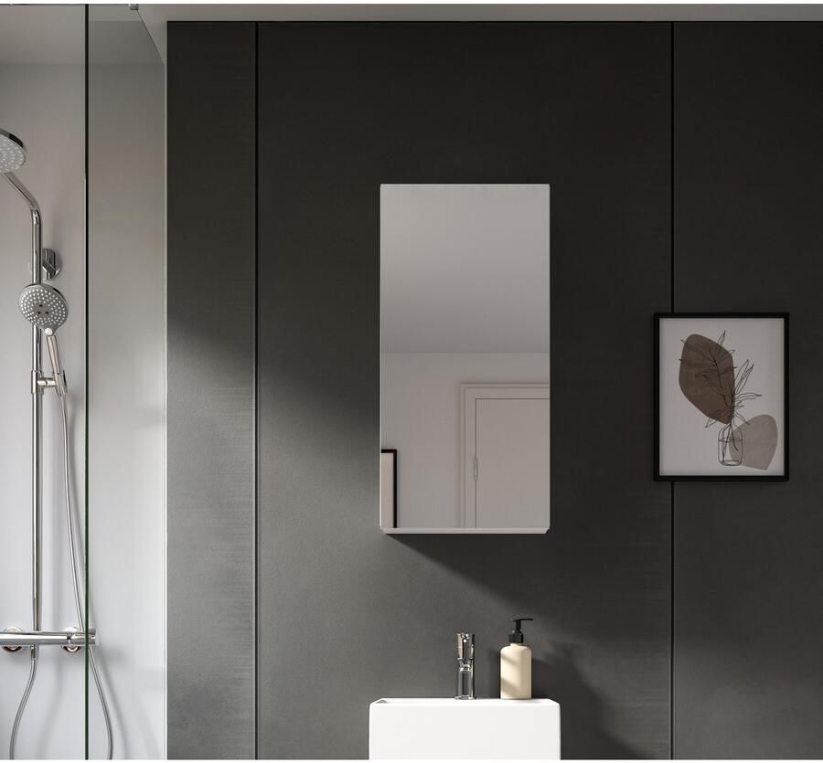 Welltime Spiegelkast BIEL TOPSELLER! breedte 38 cm 1 deur 2 legplanken 3 vakken (1 stuk)