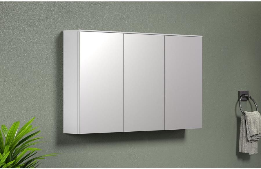 Welltime Spiegelkast Premont Spiegelkast met deurdemper (B D H) 120 17 70 cm (1 stuk) - Foto 5