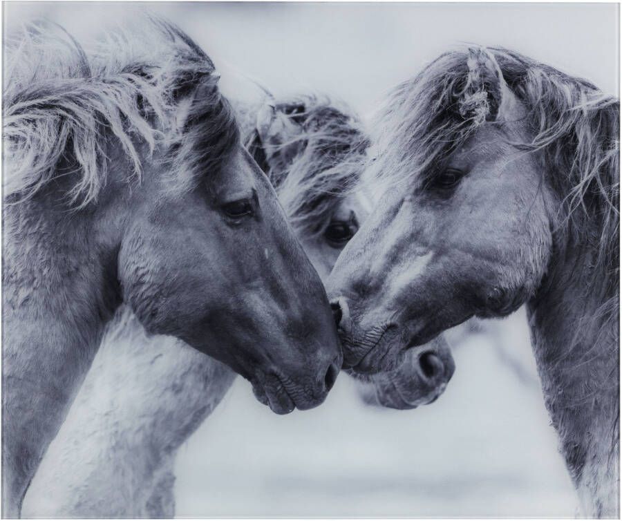 Wenko Keukenwand Horses gehard glas 60x50 cm - Foto 2
