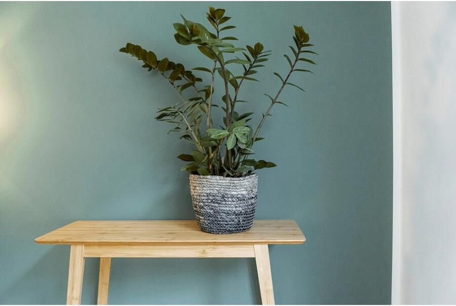 Wenko Opbergmand Coppitella Blauw uit gevlochten zeegras - Foto 5