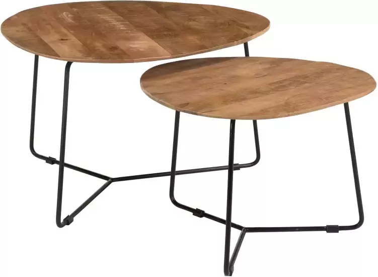 Brix Organische Salontafel Ivy Set van 2 stuks