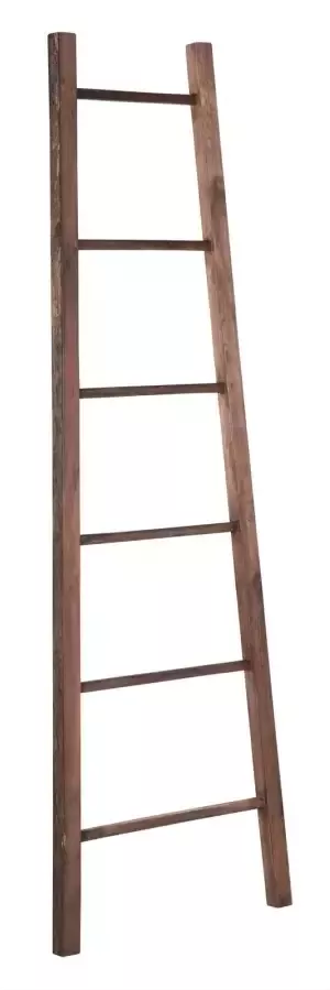 DTP Home Wandrek Ladder Timber Hout 175cm Naturel - Foto 1