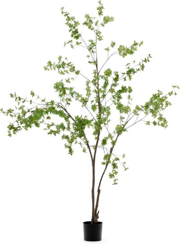Kave Home Kunstplant Enkianthus 214cm Groen