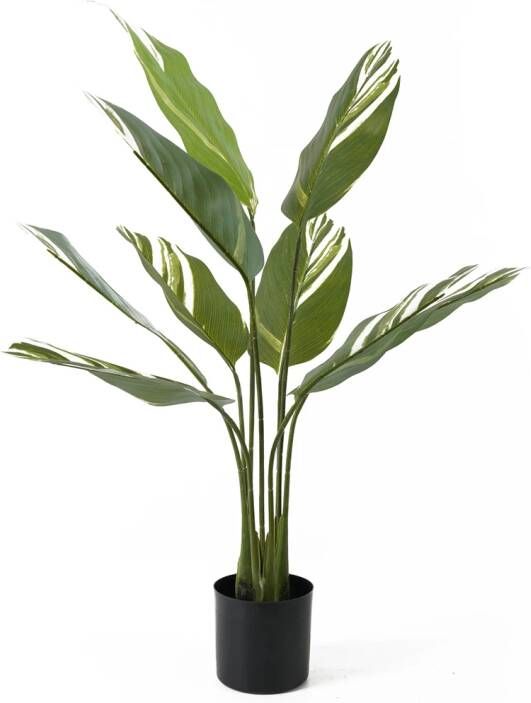 Present time Kunstplant Calathea 90cm Groen - Foto 1