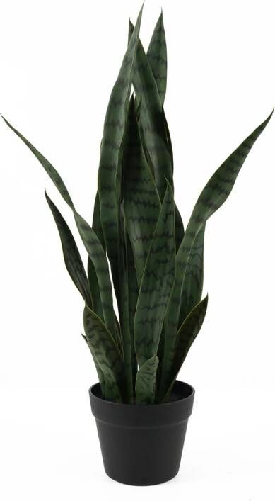 Present time Kunstplant Sansevieria 66cm Donkergroen - Foto 1