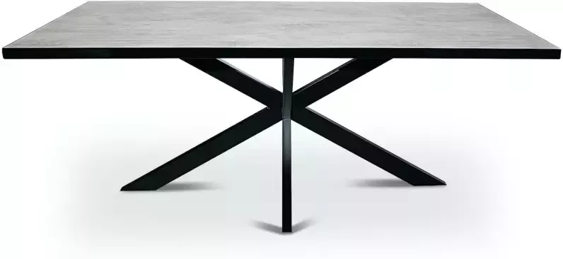 Stalux Eettafel Tafel Gijs Duurzaam Modern Design Onderhoudsvriendelijk Beton 180 cm